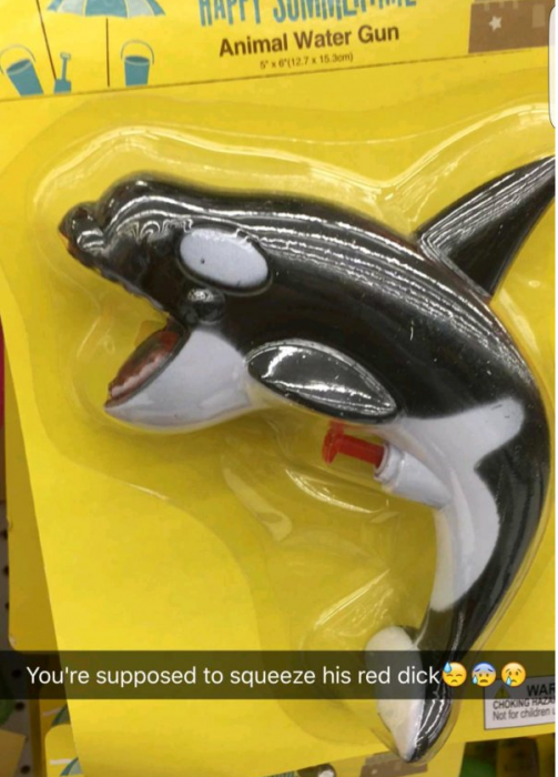 orca snapchat