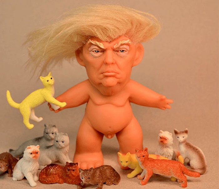 Trump troll gatos