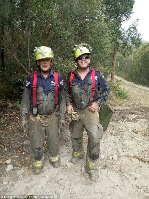 bomberos rescatadores