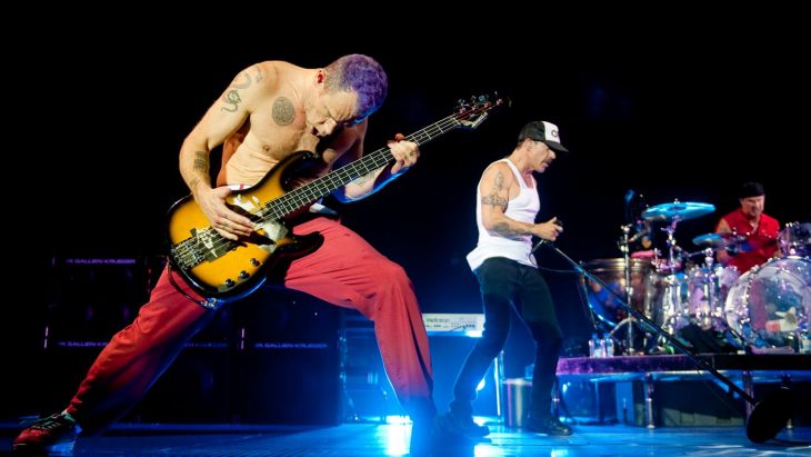 The flea RHCP 