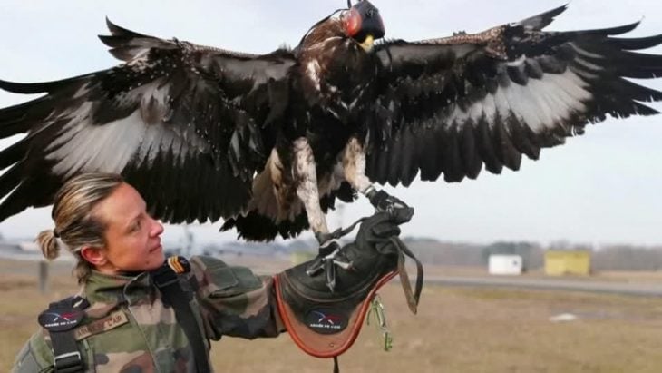 Aguila en brazo de militar