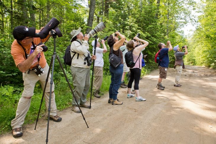 birding