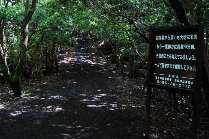 Aokigahara en Japón 