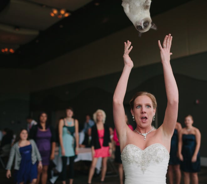 gato volador boda
