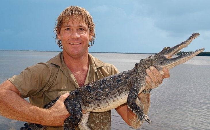 Steve Irwin cazador de cocodrilos