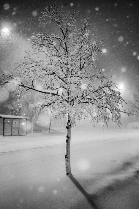 Jonas Larsson Folkeson fotografía la bipolaridad 