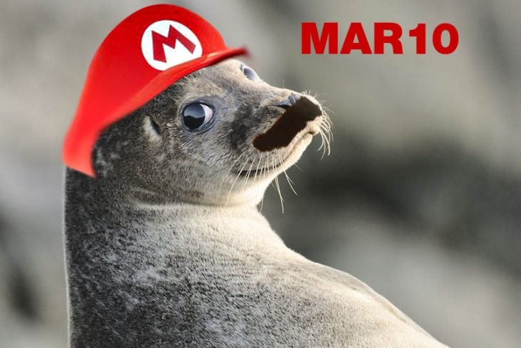 foca mario