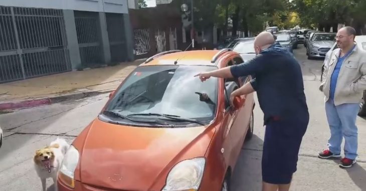 Subió perro al auto