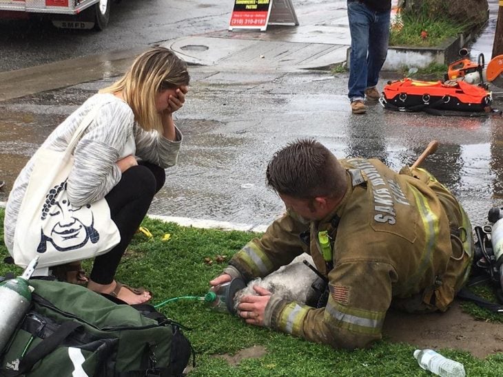 Bombero salva a perro