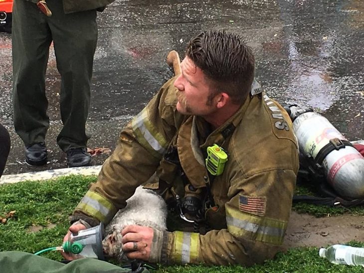 Bombero salva a perro