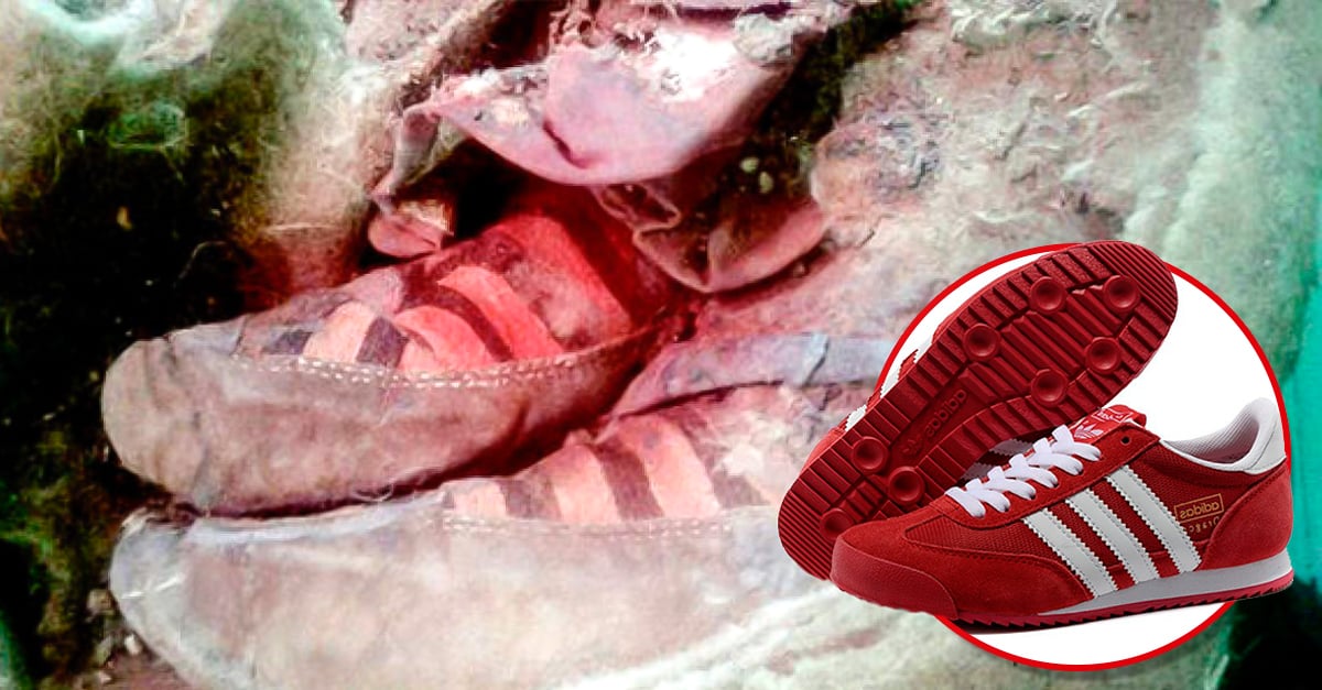 Encuentran los restos una momia en Mongolia que usaba tenis