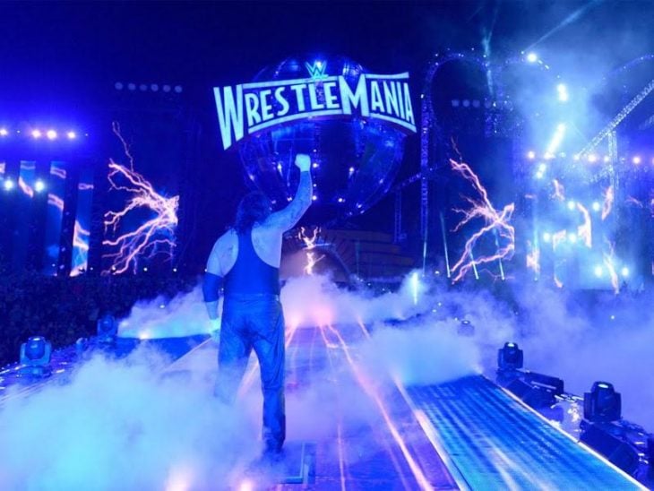 Undertaker Wrestlemania 33