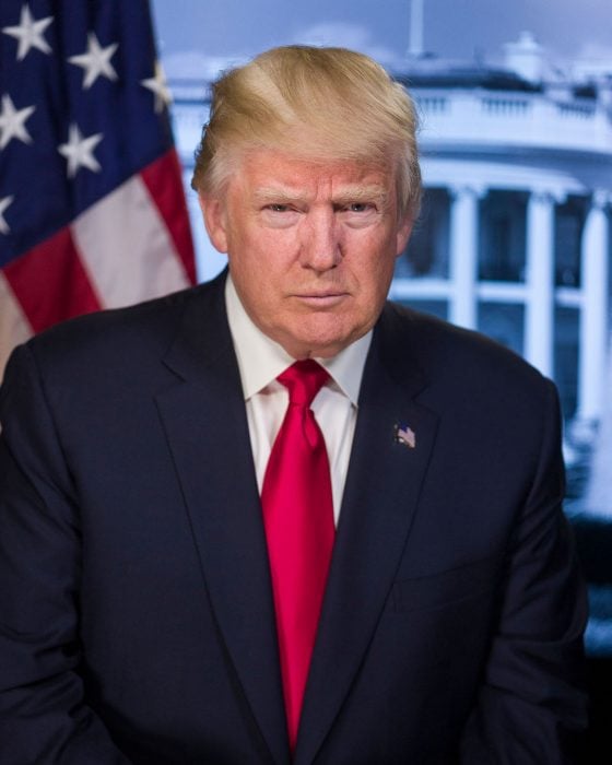 donald trump photo