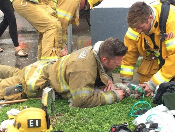 Bombero salva a perro