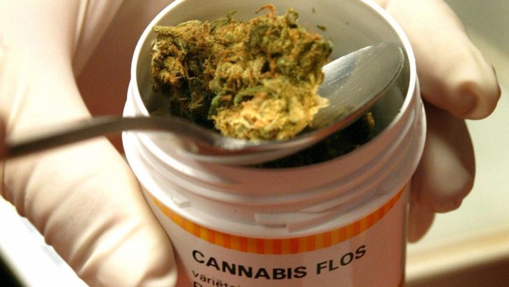 Cannabis Flos