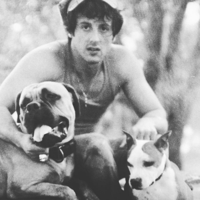 butkus stallone