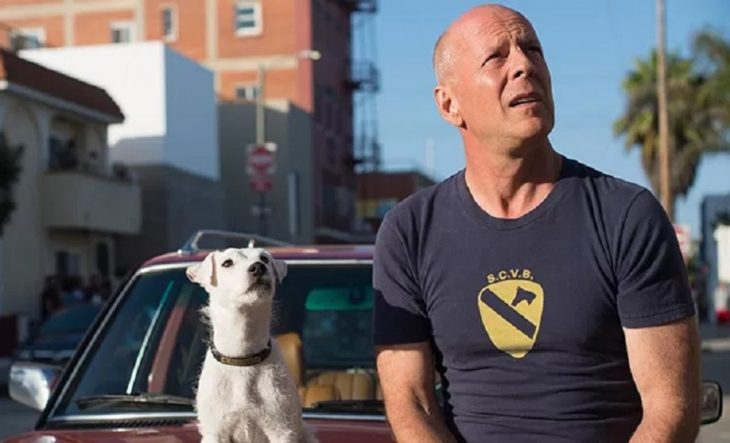 bruce willis perro