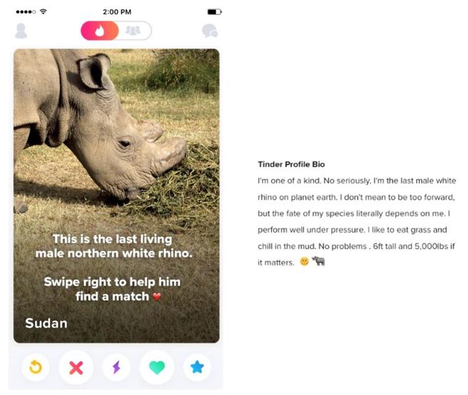 Rinoceronte en Tinder