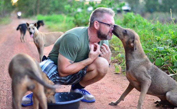 Baines alimenta perros en Tailandia 1