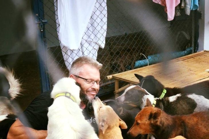 The Man Who rescues dogs 3