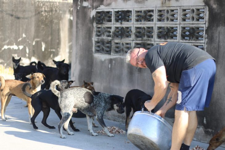 Baines alimenta perros en Tailandia 2