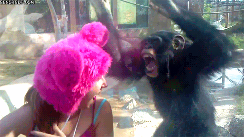 Mujer y chimpancé