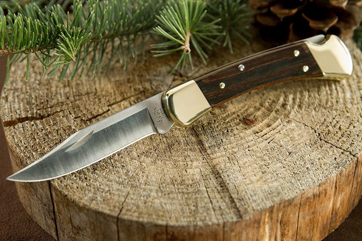 Buck Knives Buck 110 Famous Folding Hunter Knife