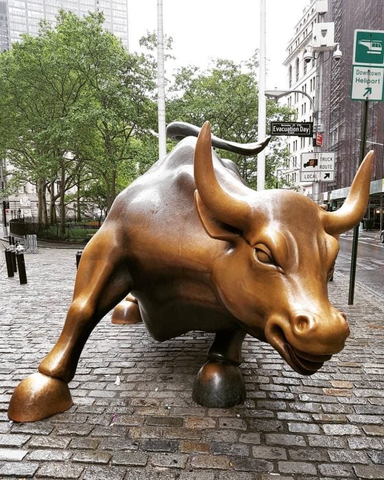 charging bull