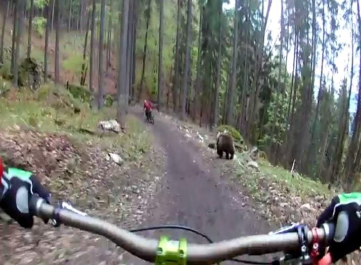 Ciclistas se encuentran con oso