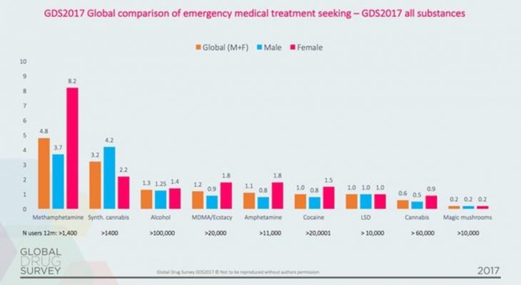 global drug survey