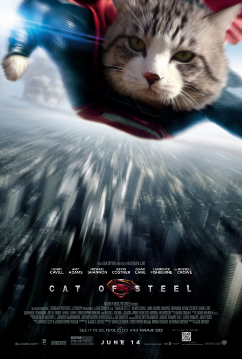 gato pelicula