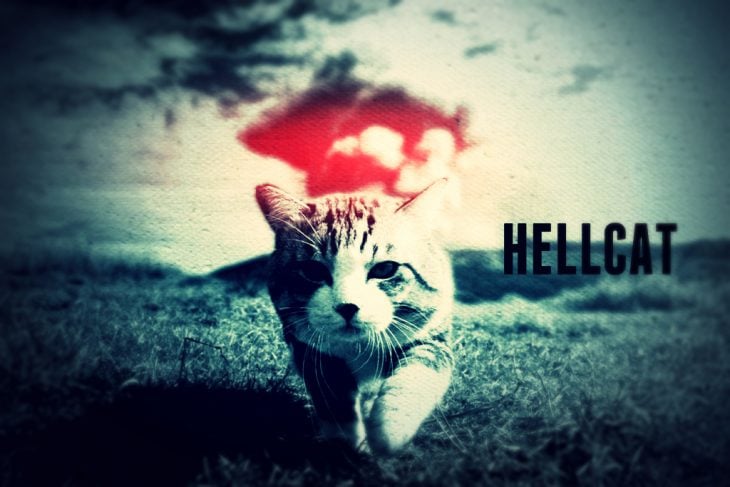 hell cat