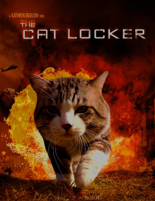 cat locker