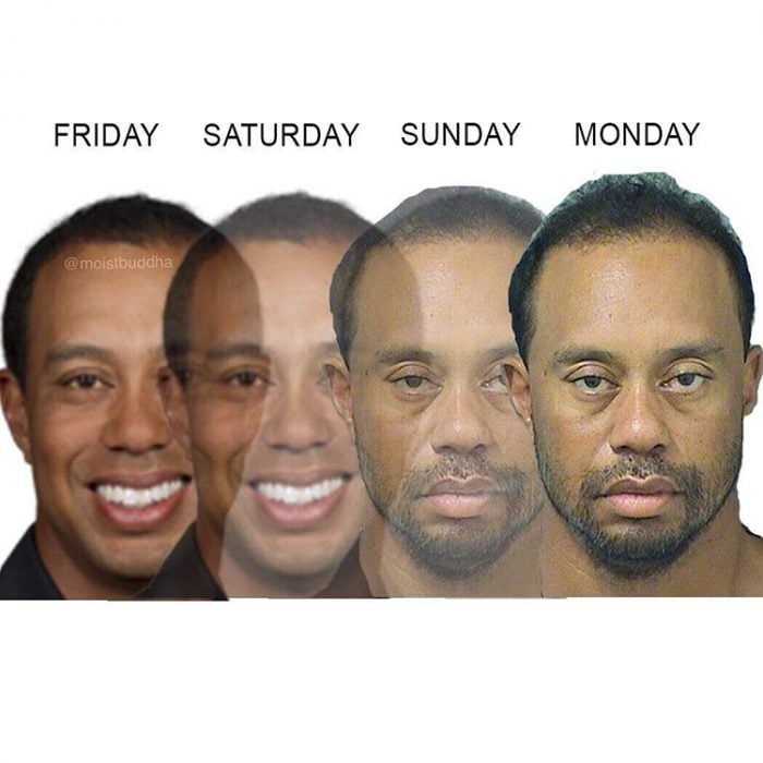 meme tiger woods