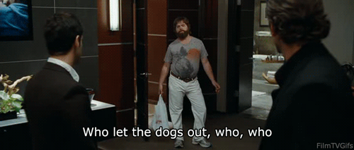 gif who lets the dogs out