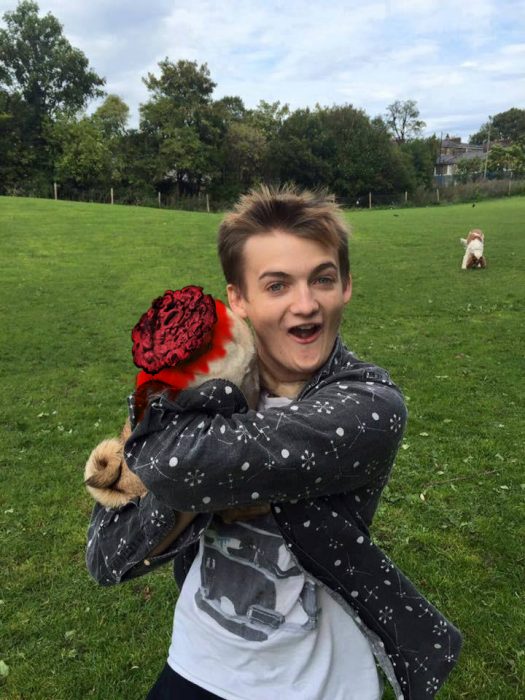 Jack Gleeson Pug meme King Joffrey