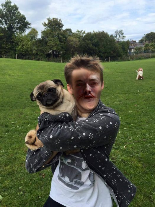 Jack Gleeson Pug meme King Joffrey