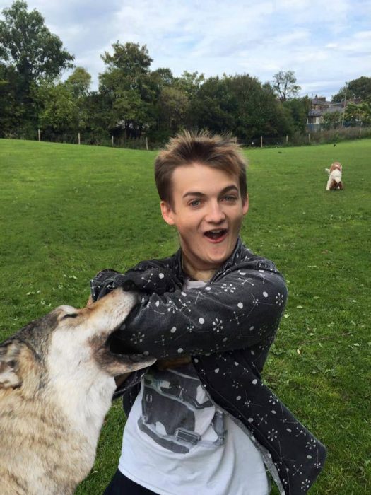 Jack Gleeson Pug meme King Joffrey