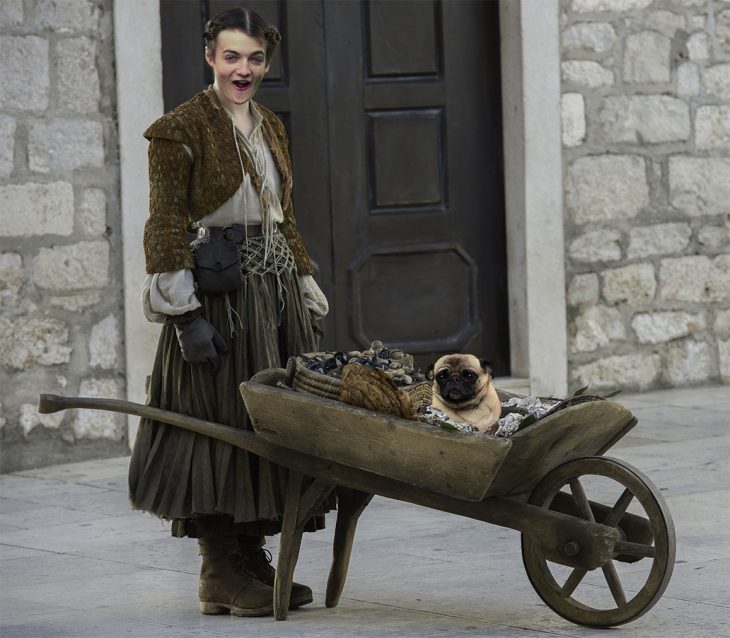 Jack Gleeson Pug meme King Joffrey 11