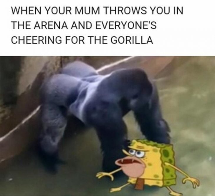 meme harambe