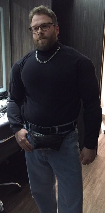 seth rogen the rock