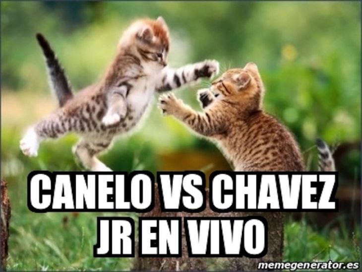 Memes Canelo Chavez Jr