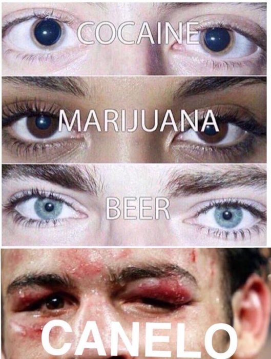 Memes Canelo Chavez Jr