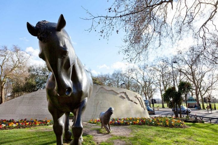 animals in war memorial