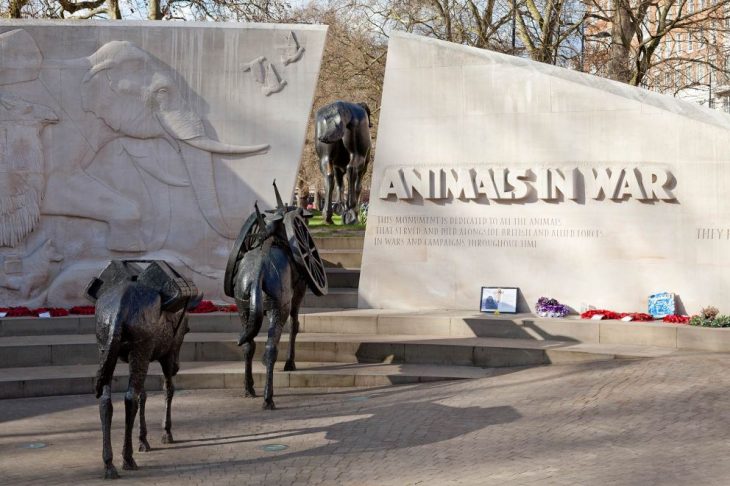 memorial animals in war england