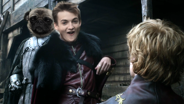 Jack Gleeson Pug meme King Joffrey 13