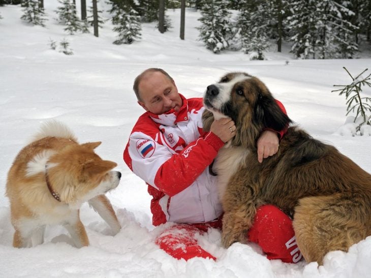 putin mascotas