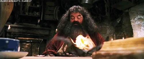 gif Hagrid Harry potter barba quemada
