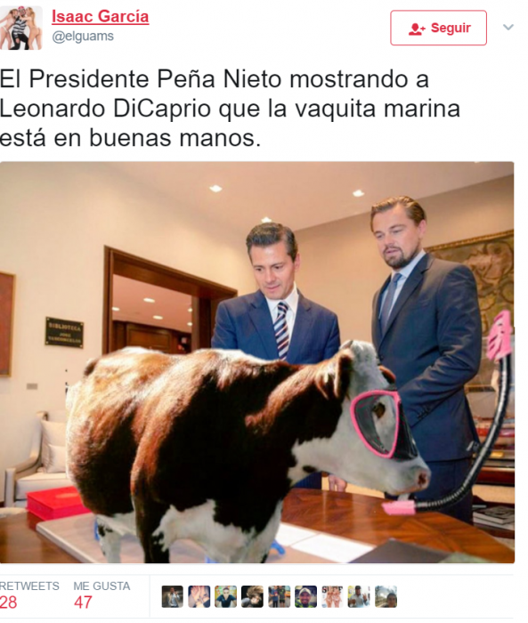 leo y peña memes 15