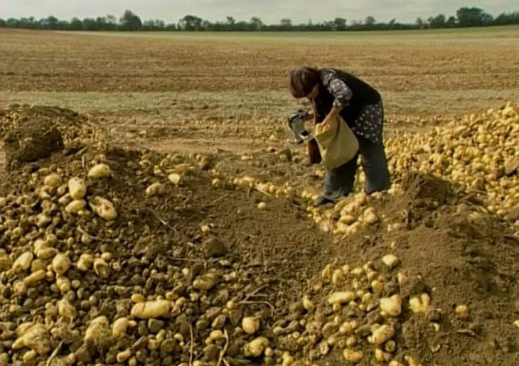 Los espigadores y la espigadora, de Agnès Varda (2000)